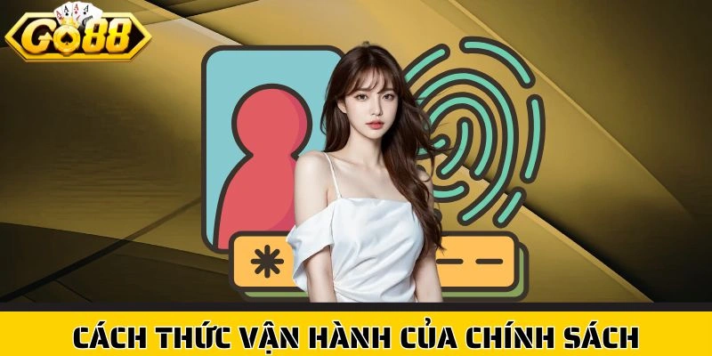 Cách thức vận hành của chính sách